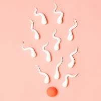 Fertility and Reproduction